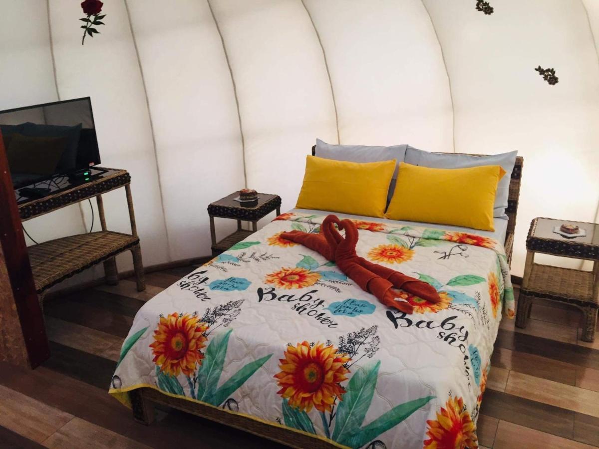 Shenanigans Glamping Resort Zamboanguita  Luaran gambar