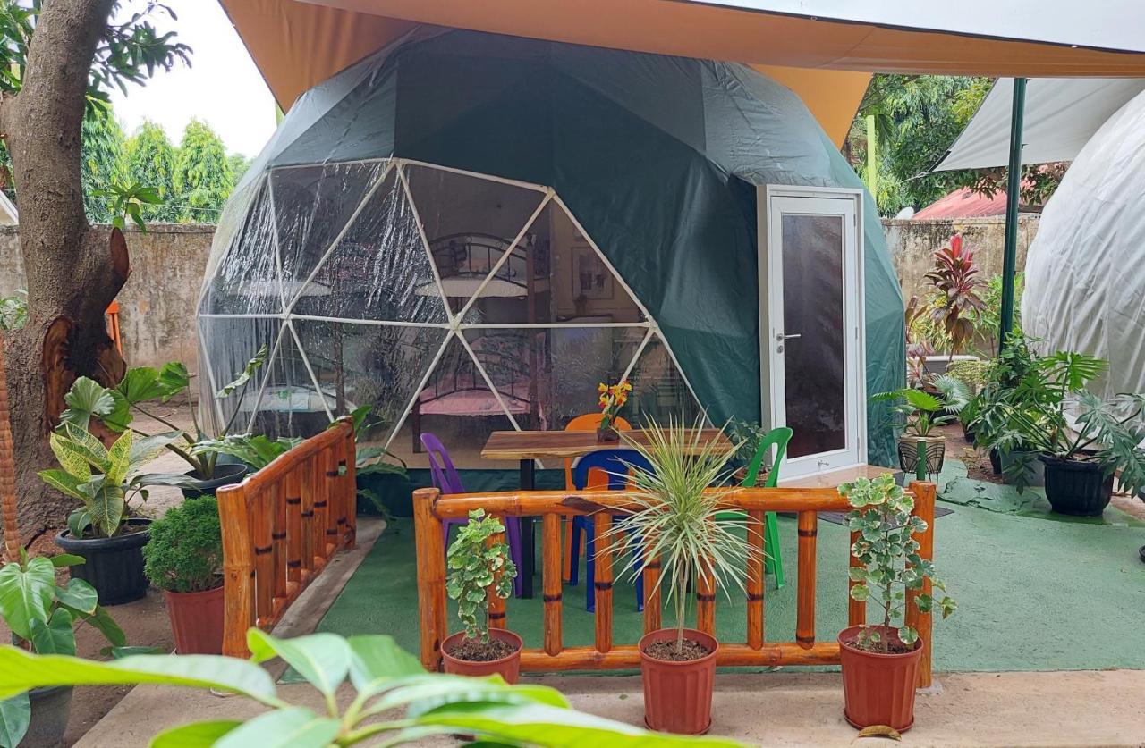Shenanigans Glamping Resort Zamboanguita  Luaran gambar